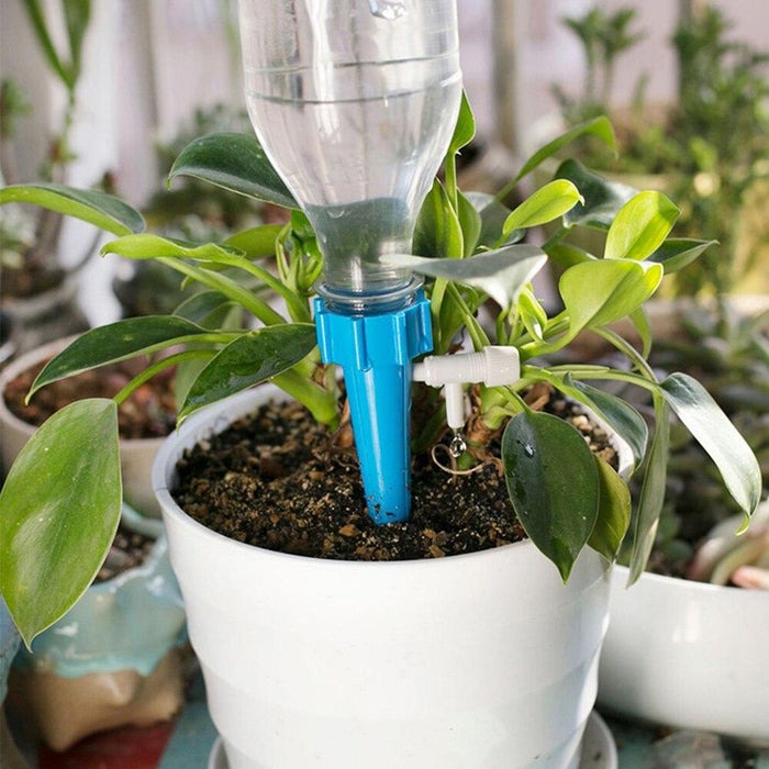 Irrigador automático para Plantas -  kit com 36 unidades